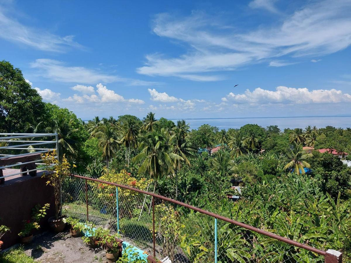 Island Samal Overlooking View House With Swimming Pools San Antonio  エクステリア 写真